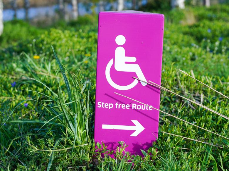 Disability 1